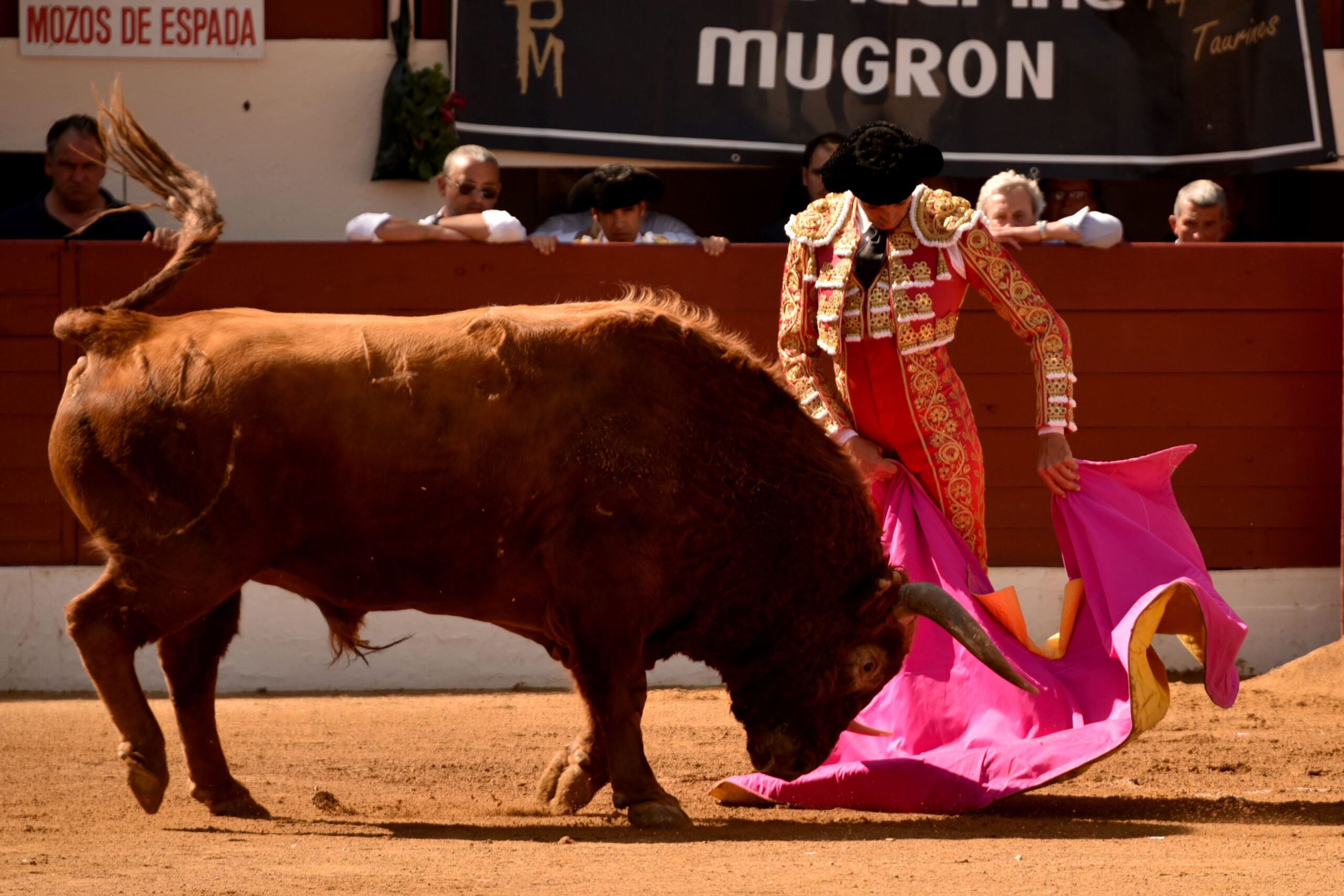 Vic-Fesensac (Francia), lunes 21 de mayo de 2018. Toros de Pedraza de Yeltes para Curro Díaz, Daniel Luque y Emilio de Justo
