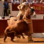 Vic-Fesensac (Francia), lunes 21 de mayo de 2018. Toros de Pedraza de Yeltes para Curro Díaz, Daniel Luque y Emilio de Justo