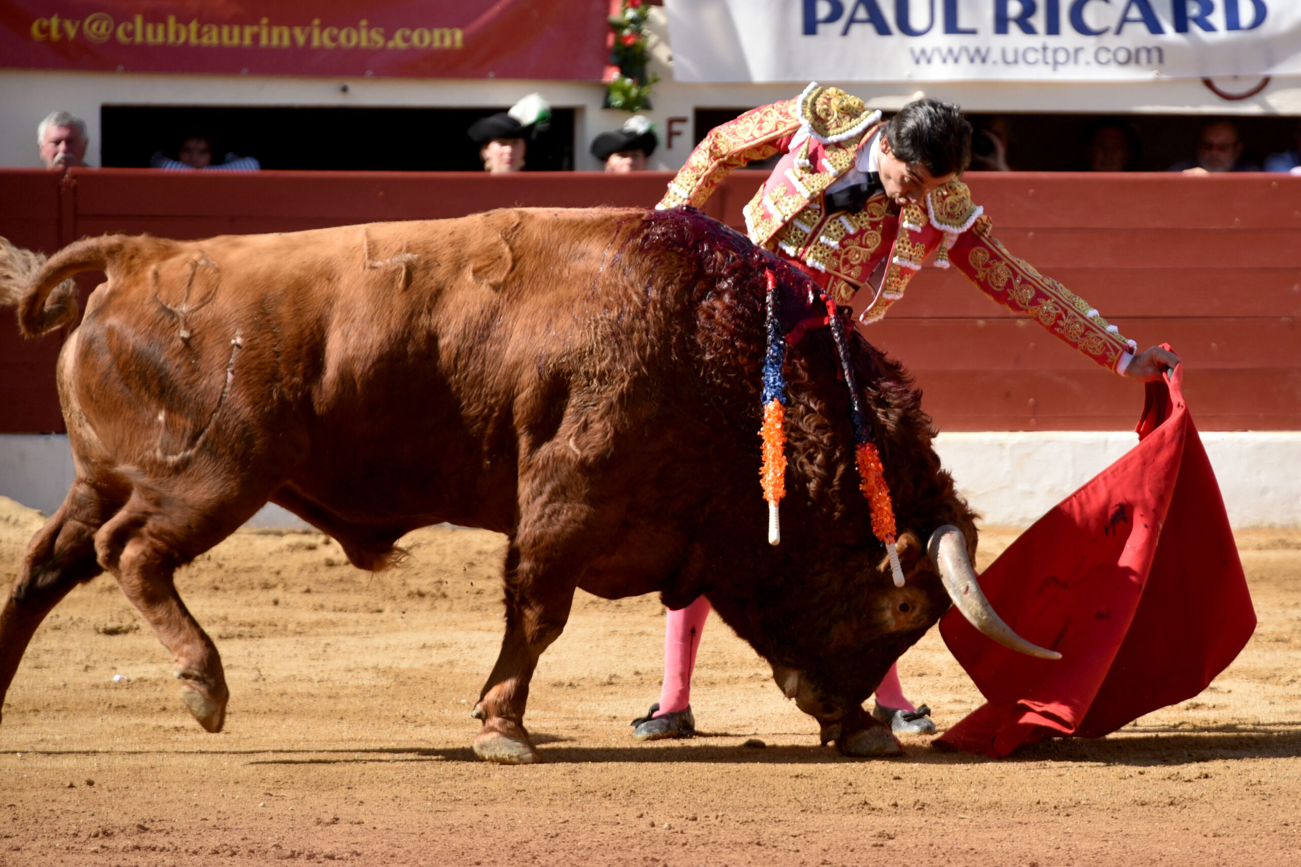 Vic-Fesensac (Francia), lunes 21 de mayo de 2018. Toros de Pedraza de Yeltes para Curro Díaz, Daniel Luque y Emilio de Justo