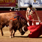 Vic-Fesensac (Francia), lunes 21 de mayo de 2018. Toros de Pedraza de Yeltes para Curro Díaz, Daniel Luque y Emilio de Justo