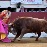 Vic-Fesensac (Francia), lunes 21 de mayo de 2018. Toros de Pedraza de Yeltes para Curro Díaz, Daniel Luque y Emilio de Justo