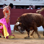 Vic-Fesensac (Francia), lunes 21 de mayo de 2018. Toros de Pedraza de Yeltes para Curro Díaz, Daniel Luque y Emilio de Justo