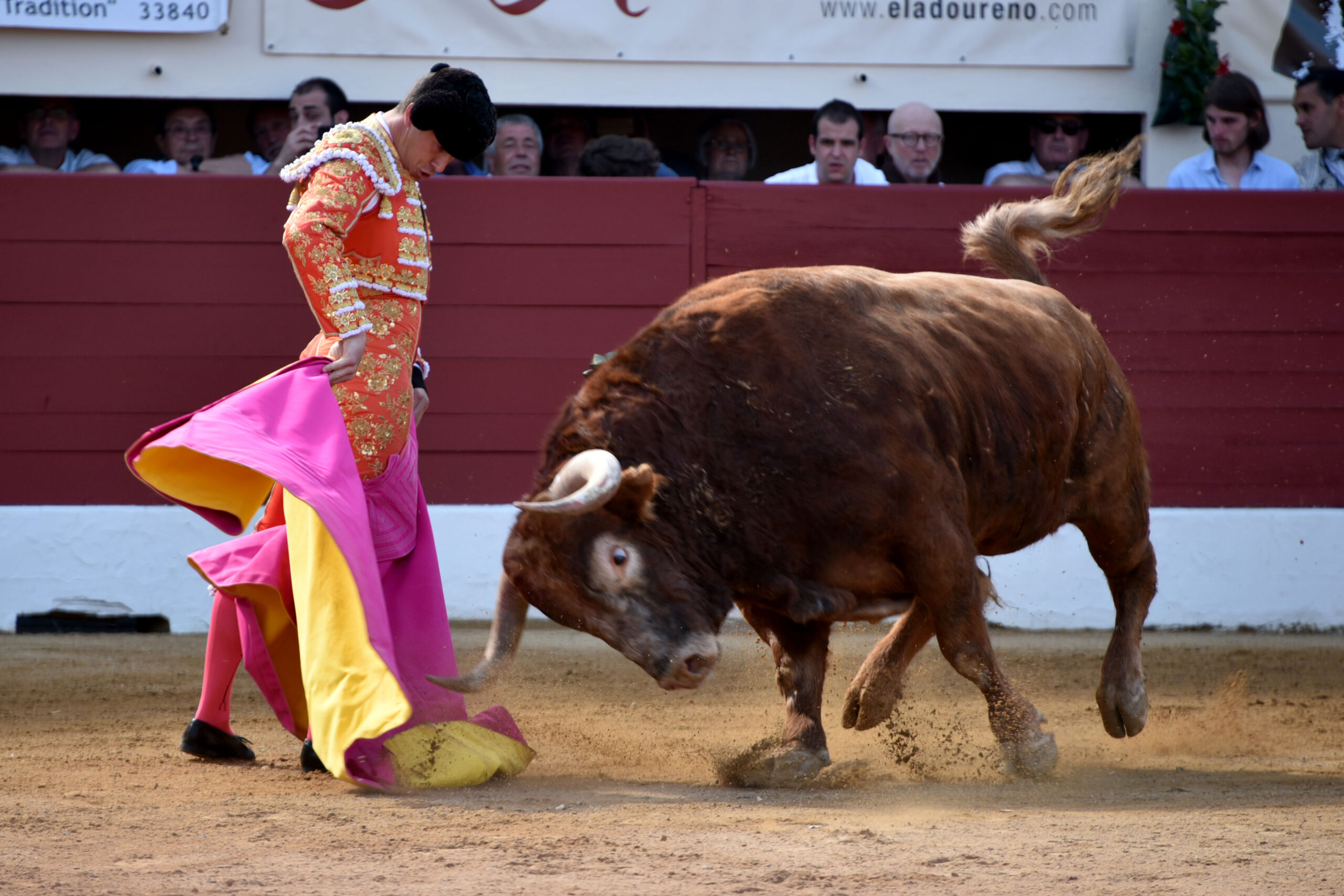 Vic-Fesensac (Francia), lunes 21 de mayo de 2018. Toros de Pedraza de Yeltes para Curro Díaz, Daniel Luque y Emilio de Justo