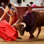 Vic-Fesensac (Francia), lunes 21 de mayo de 2018. Toros de Pedraza de Yeltes para Curro Díaz, Daniel Luque y Emilio de Justo
