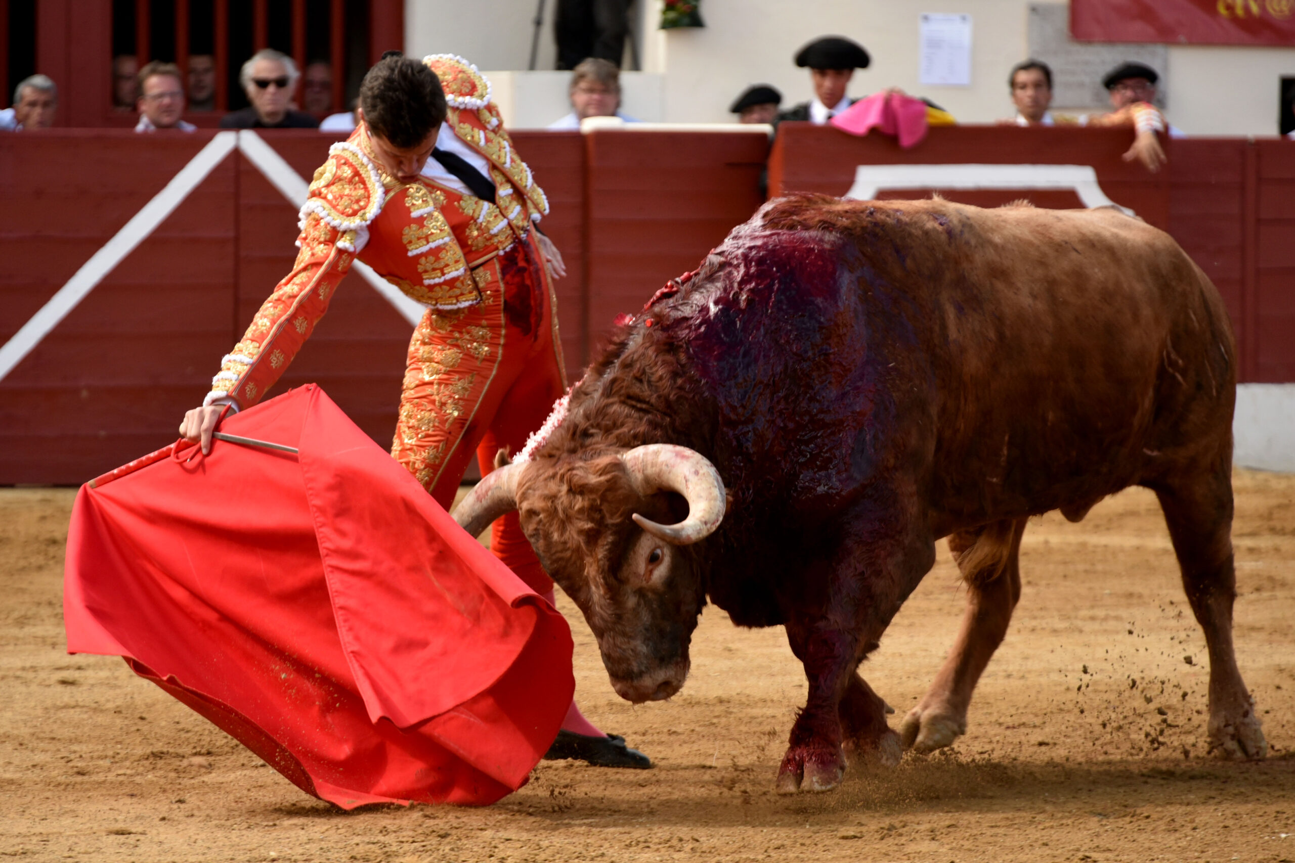 Vic-Fesensac (Francia), lunes 21 de mayo de 2018. Toros de Pedraza de Yeltes para Curro Díaz, Daniel Luque y Emilio de Justo