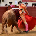 Vic-Fesensac (Francia), lunes 21 de mayo de 2018. Toros de Pedraza de Yeltes para Curro Díaz, Daniel Luque y Emilio de Justo