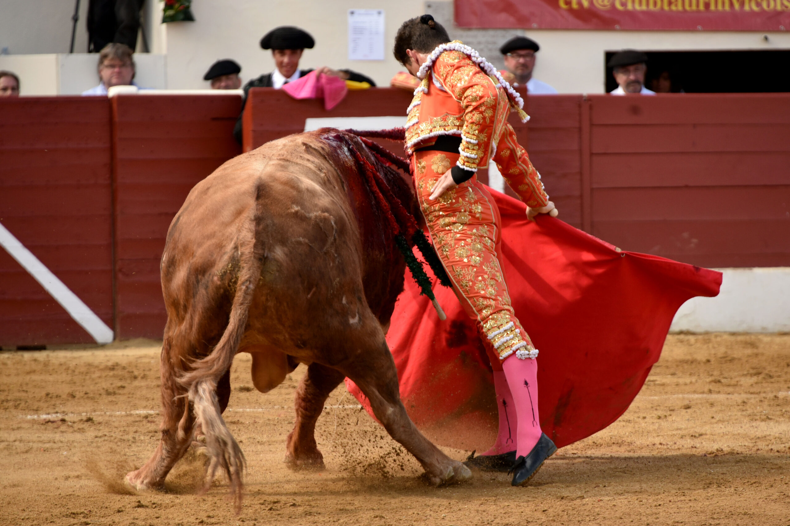 Vic-Fesensac (Francia), lunes 21 de mayo de 2018. Toros de Pedraza de Yeltes para Curro Díaz, Daniel Luque y Emilio de Justo