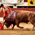 Vic-Fesensac (Francia), lunes 21 de mayo de 2018. Toros de Pedraza de Yeltes para Curro Díaz, Daniel Luque y Emilio de Justo