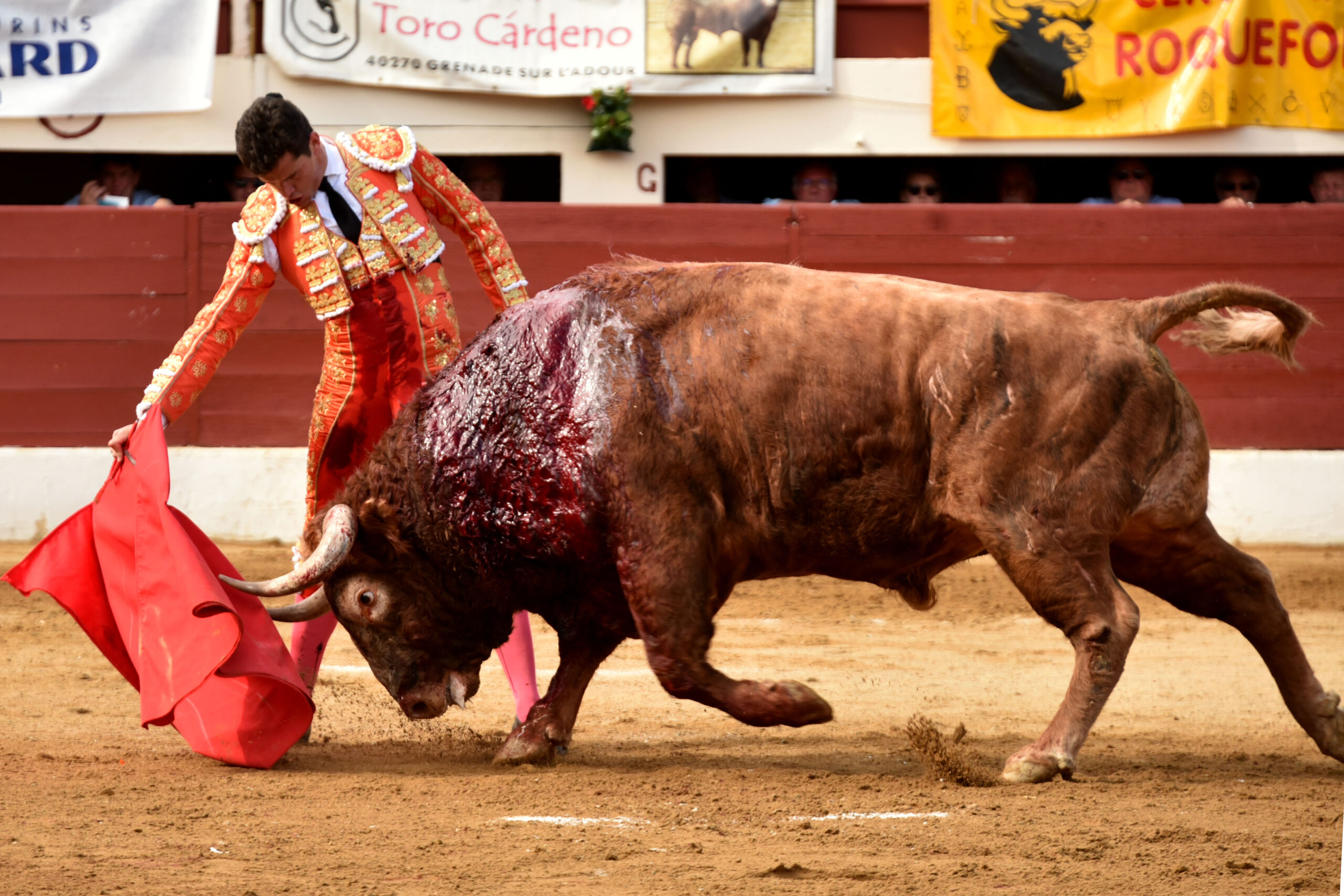 Vic-Fesensac (Francia), lunes 21 de mayo de 2018. Toros de Pedraza de Yeltes para Curro Díaz, Daniel Luque y Emilio de Justo