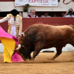 Vic-Fesensac (Francia), lunes 21 de mayo de 2018. Toros de Pedraza de Yeltes para Curro Díaz, Daniel Luque y Emilio de Justo