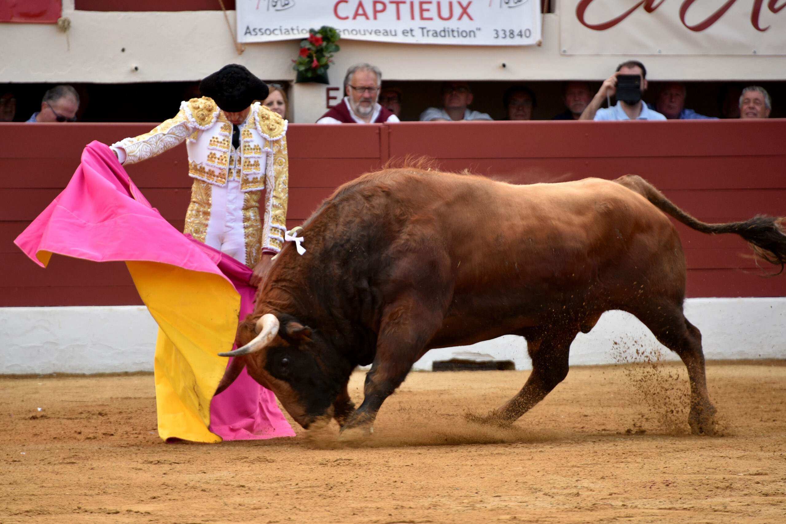 Vic-Fesensac (Francia), lunes 21 de mayo de 2018. Toros de Pedraza de Yeltes para Curro Díaz, Daniel Luque y Emilio de Justo