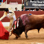 Vic-Fesensac (Francia), lunes 21 de mayo de 2018. Toros de Pedraza de Yeltes para Curro Díaz, Daniel Luque y Emilio de Justo
