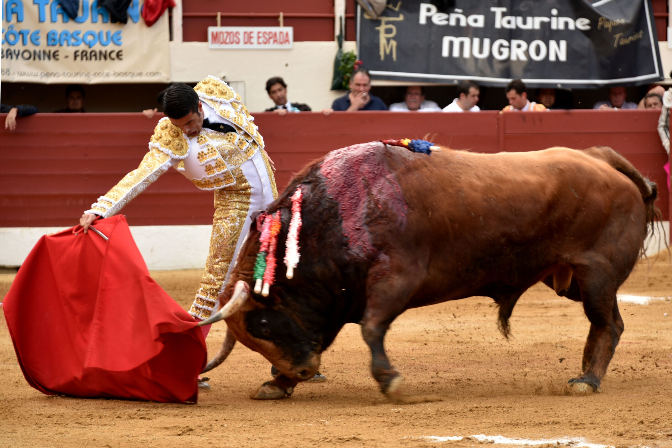 Vic-Fesensac (Francia), lunes 21 de mayo de 2018. Toros de Pedraza de Yeltes para Curro Díaz, Daniel Luque y Emilio de Justo