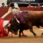 Vic-Fesensac (Francia), lunes 21 de mayo de 2018. Toros de Pedraza de Yeltes para Curro Díaz, Daniel Luque y Emilio de Justo