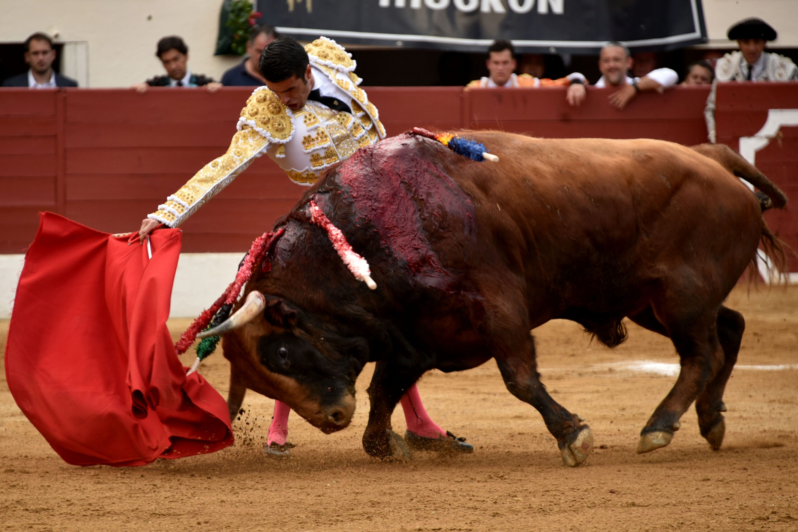 Vic-Fesensac (Francia), lunes 21 de mayo de 2018. Toros de Pedraza de Yeltes para Curro Díaz, Daniel Luque y Emilio de Justo