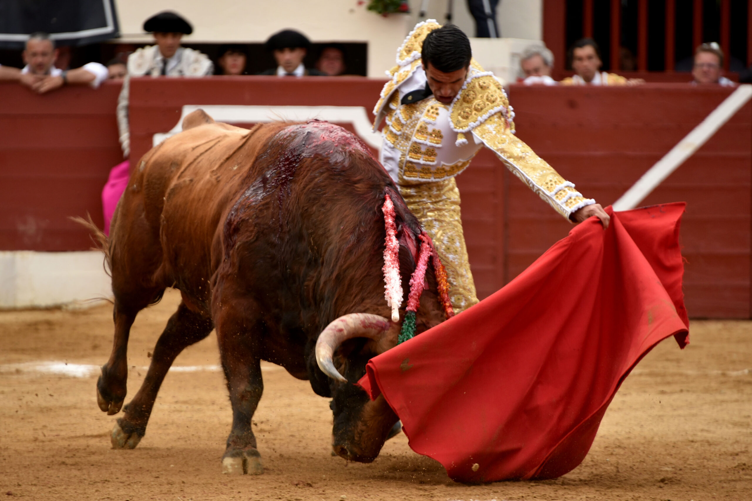Vic-Fesensac (Francia), lunes 21 de mayo de 2018. Toros de Pedraza de Yeltes para Curro Díaz, Daniel Luque y Emilio de Justo