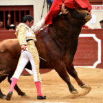 Vic-Fesensac (Francia), lunes 21 de mayo de 2018. Toros de Pedraza de Yeltes para Curro Díaz, Daniel Luque y Emilio de Justo