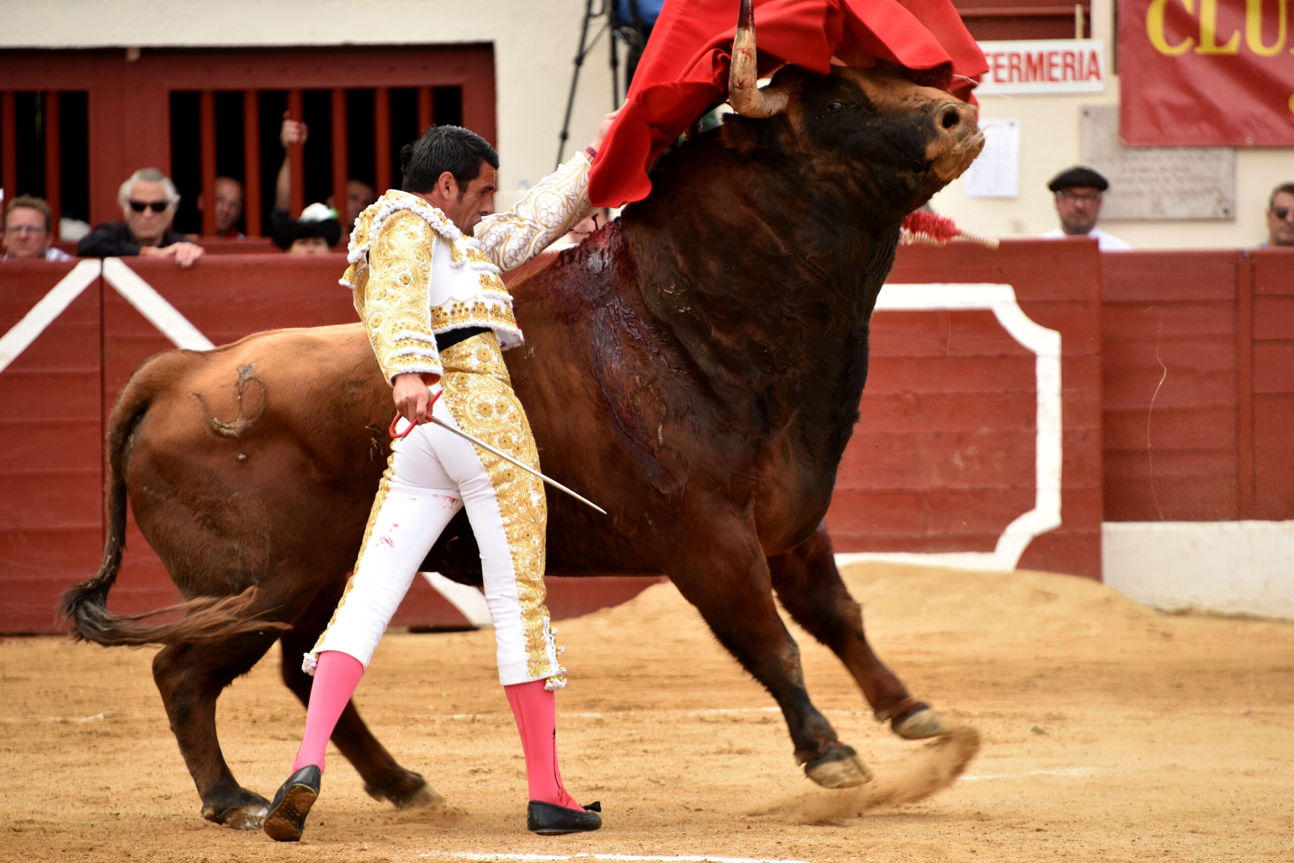 Vic-Fesensac (Francia), lunes 21 de mayo de 2018. Toros de Pedraza de Yeltes para Curro Díaz, Daniel Luque y Emilio de Justo