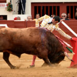 Vic-Fesensac (Francia), lunes 21 de mayo de 2018. Toros de Pedraza de Yeltes para Curro Díaz, Daniel Luque y Emilio de Justo