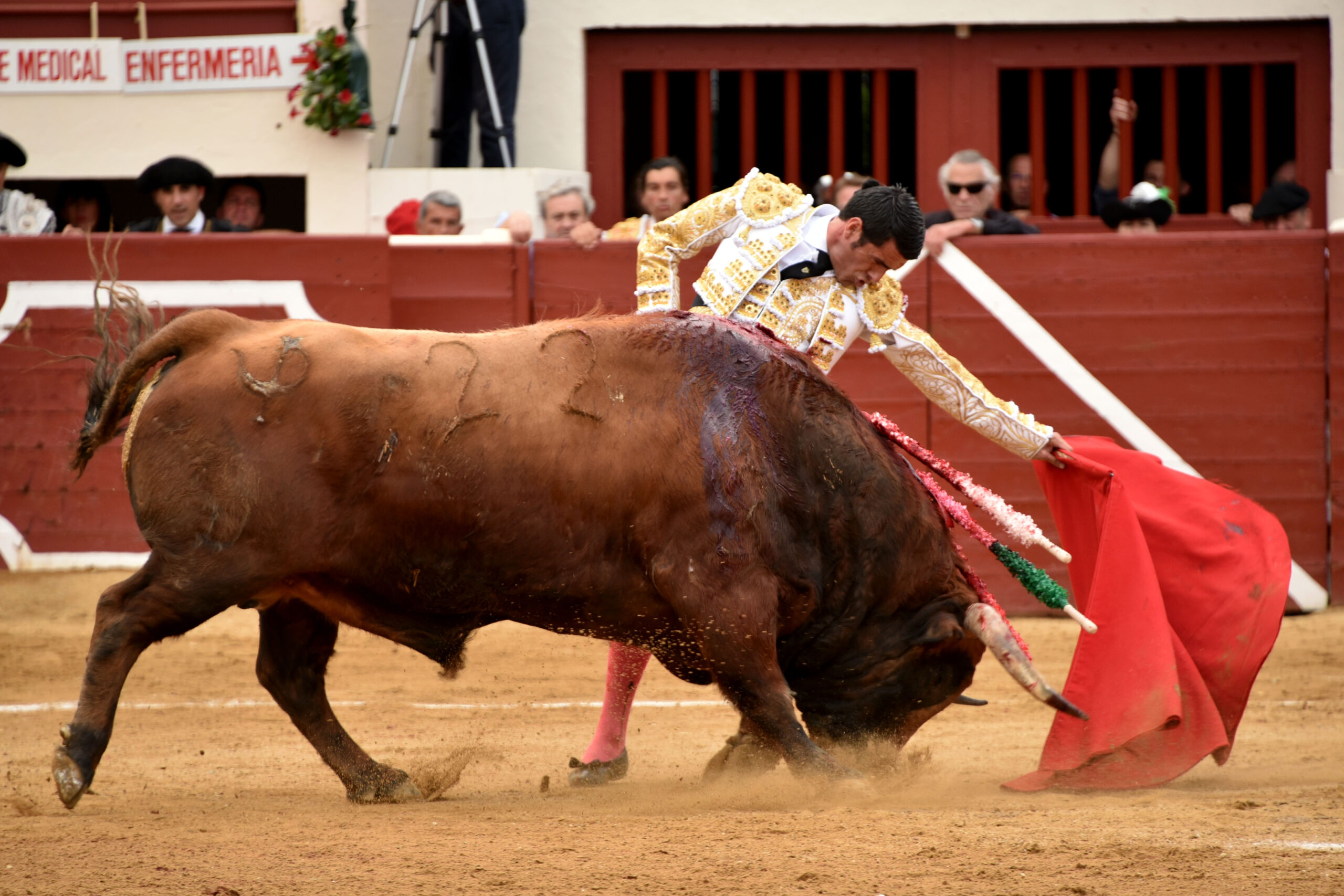 Vic-Fesensac (Francia), lunes 21 de mayo de 2018. Toros de Pedraza de Yeltes para Curro Díaz, Daniel Luque y Emilio de Justo
