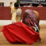 Vic-Fesensac (Francia), lunes 21 de mayo de 2018. Toros de Pedraza de Yeltes para Curro Díaz, Daniel Luque y Emilio de Justo