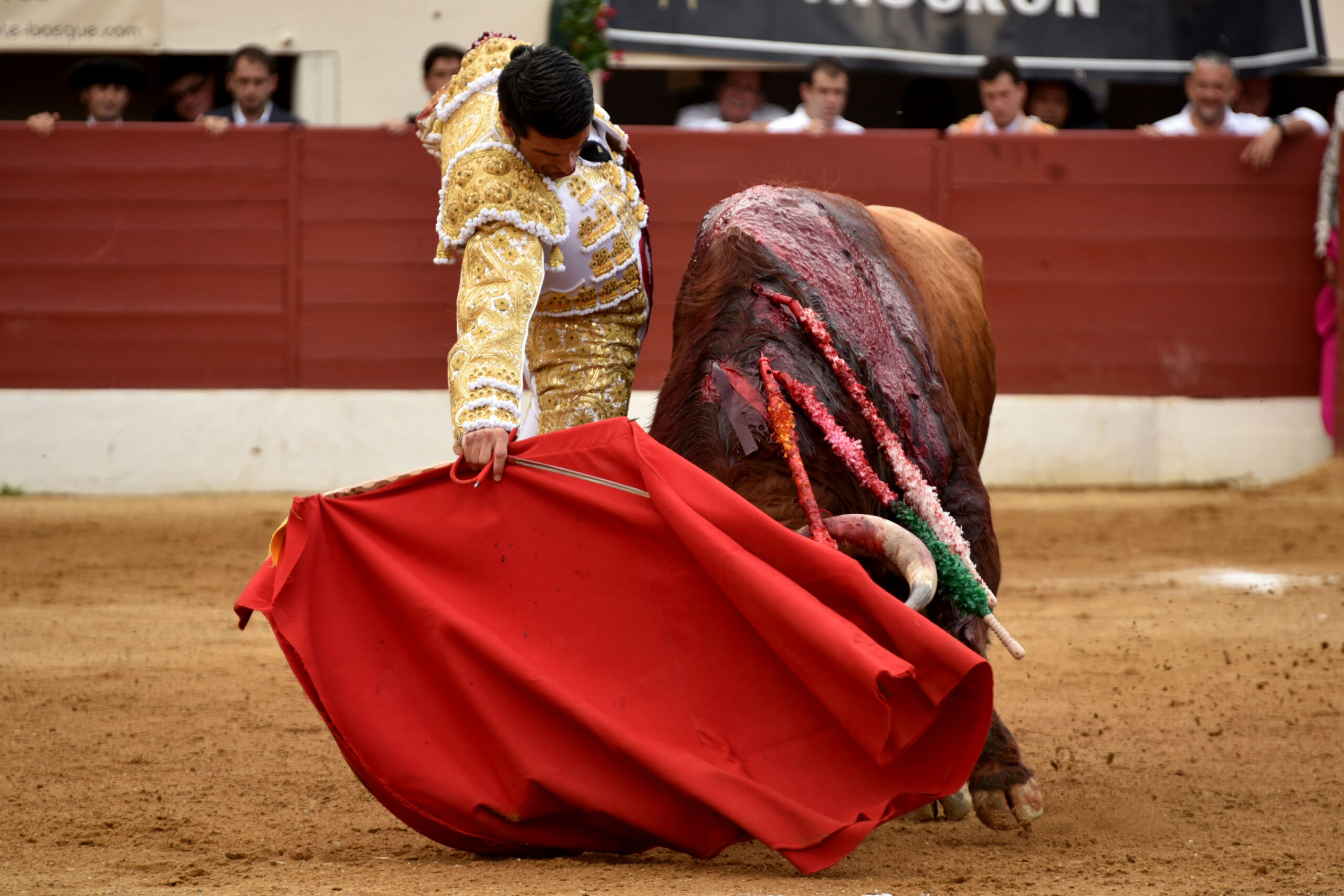 Vic-Fesensac (Francia), lunes 21 de mayo de 2018. Toros de Pedraza de Yeltes para Curro Díaz, Daniel Luque y Emilio de Justo