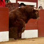 Vic-Fesensac (Francia), lunes 21 de mayo de 2018. Toros de Pedraza de Yeltes para Curro Díaz, Daniel Luque y Emilio de Justo