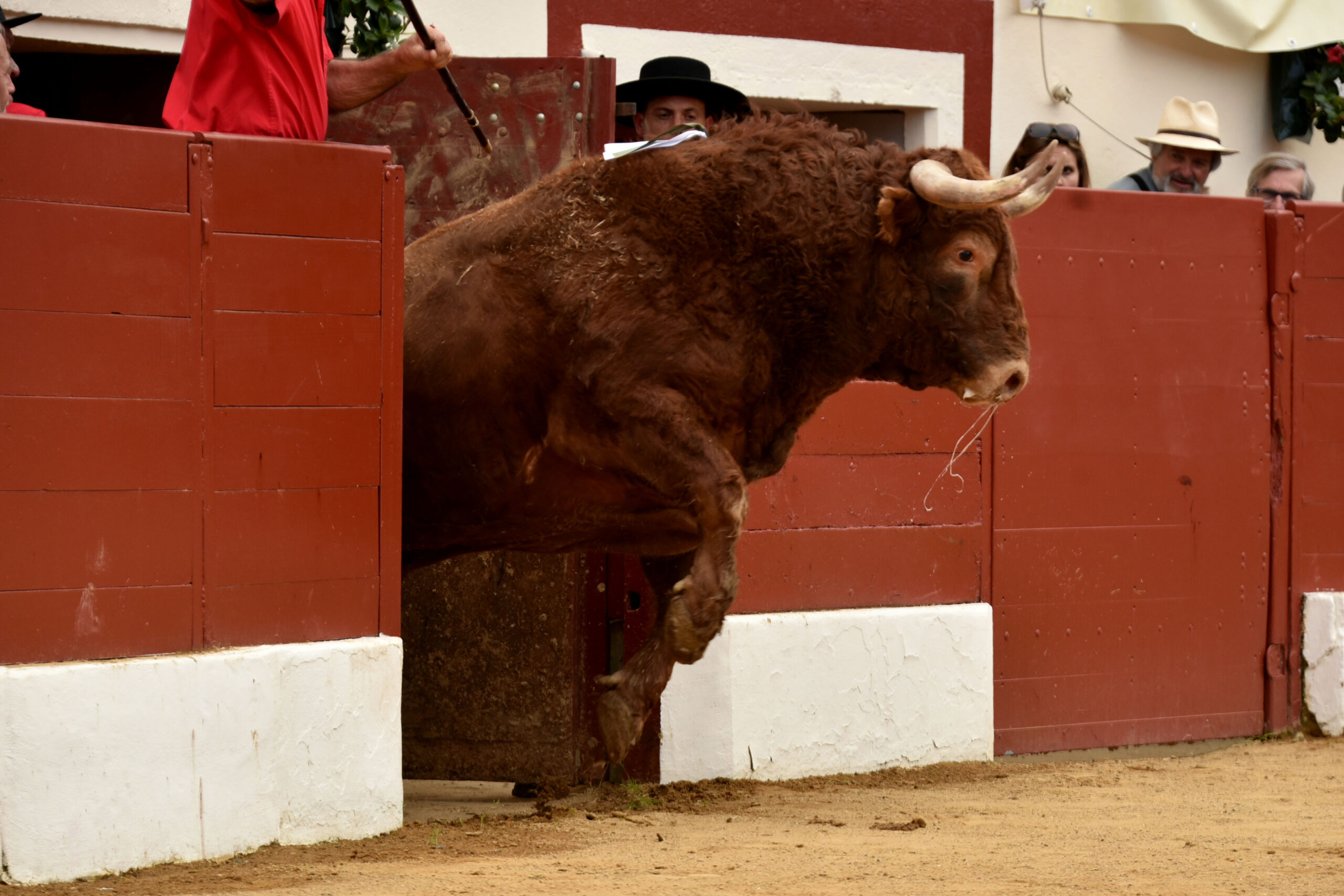 Vic-Fesensac (Francia), lunes 21 de mayo de 2018. Toros de Pedraza de Yeltes para Curro Díaz, Daniel Luque y Emilio de Justo