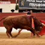 Vic-Fesensac (Francia), lunes 21 de mayo de 2018. Toros de Pedraza de Yeltes para Curro Díaz, Daniel Luque y Emilio de Justo