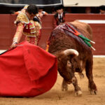 Vic-Fesensac (Francia), lunes 21 de mayo de 2018. Toros de Pedraza de Yeltes para Curro Díaz, Daniel Luque y Emilio de Justo