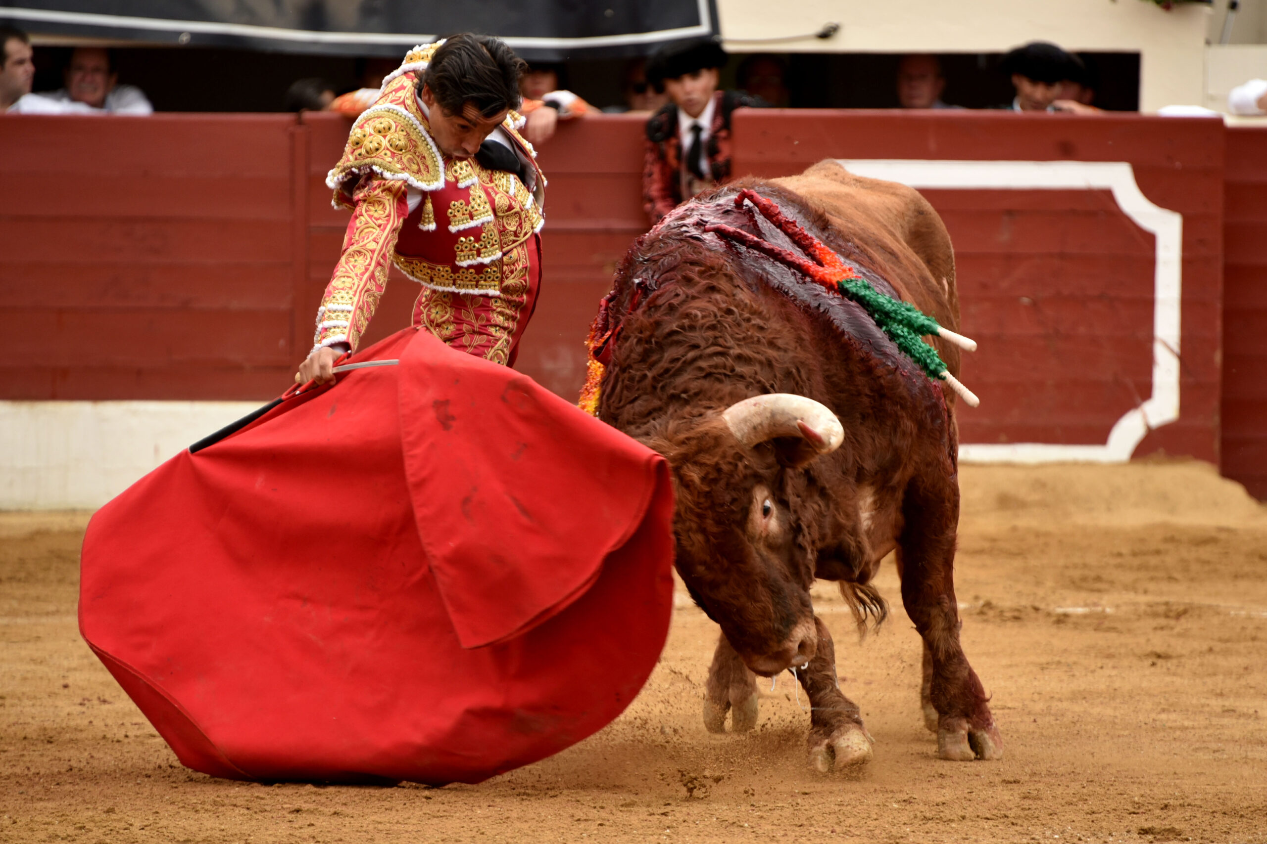 Vic-Fesensac (Francia), lunes 21 de mayo de 2018. Toros de Pedraza de Yeltes para Curro Díaz, Daniel Luque y Emilio de Justo
