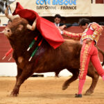 Vic-Fesensac (Francia), lunes 21 de mayo de 2018. Toros de Pedraza de Yeltes para Curro Díaz, Daniel Luque y Emilio de Justo