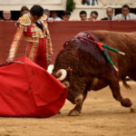 Vic-Fesensac (Francia), lunes 21 de mayo de 2018. Toros de Pedraza de Yeltes para Curro Díaz, Daniel Luque y Emilio de Justo