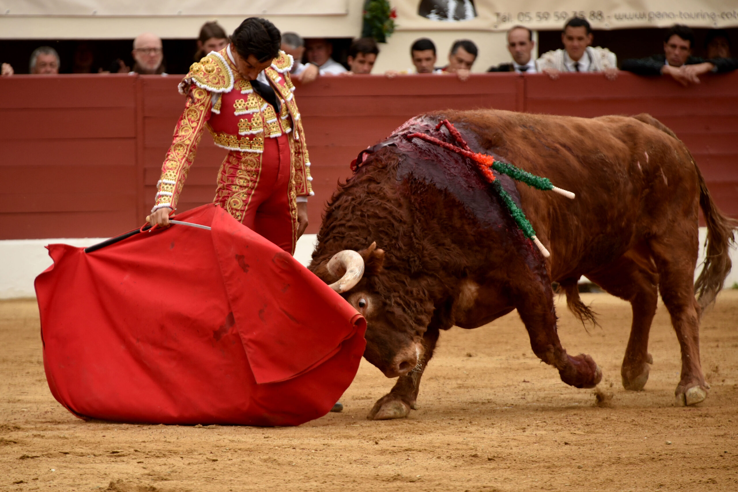 Vic-Fesensac (Francia), lunes 21 de mayo de 2018. Toros de Pedraza de Yeltes para Curro Díaz, Daniel Luque y Emilio de Justo