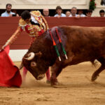 Vic-Fesensac (Francia), lunes 21 de mayo de 2018. Toros de Pedraza de Yeltes para Curro Díaz, Daniel Luque y Emilio de Justo