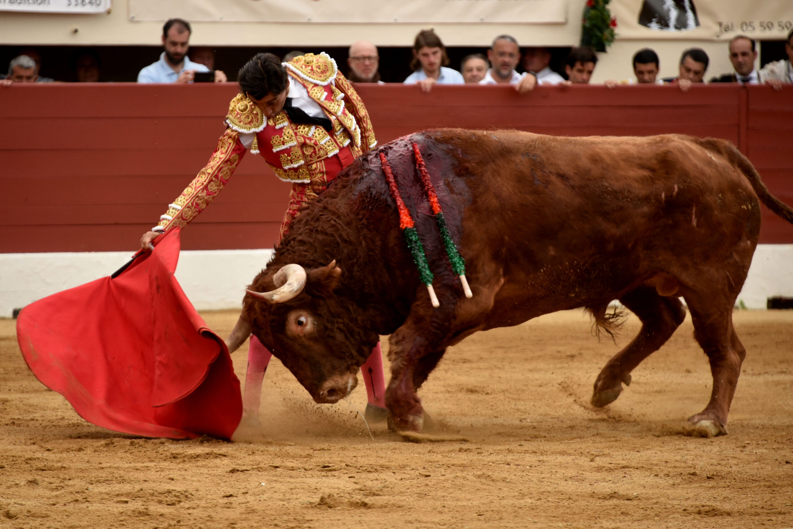 Vic-Fesensac (Francia), lunes 21 de mayo de 2018. Toros de Pedraza de Yeltes para Curro Díaz, Daniel Luque y Emilio de Justo