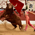 Vic-Fesensac (Francia), lunes 21 de mayo de 2018. Toros de Pedraza de Yeltes para Curro Díaz, Daniel Luque y Emilio de Justo