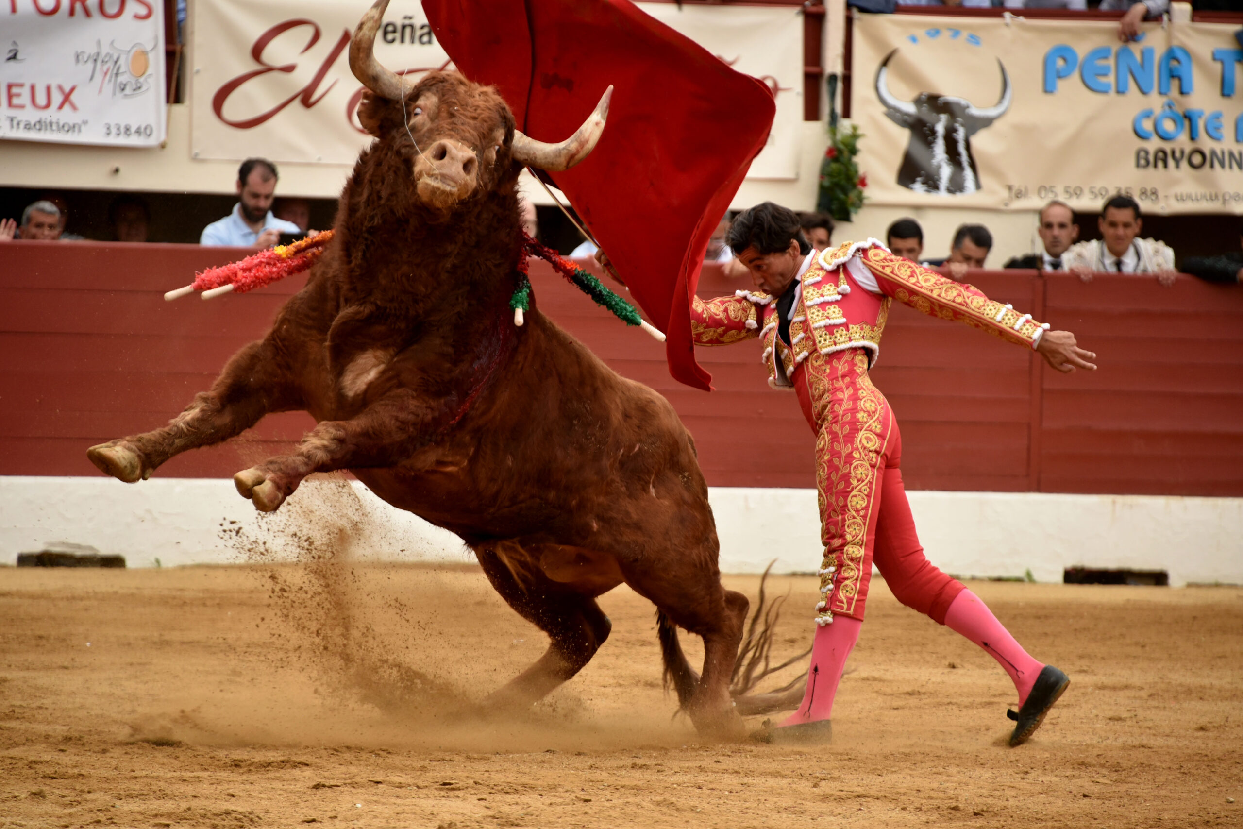 Vic-Fesensac (Francia), lunes 21 de mayo de 2018. Toros de Pedraza de Yeltes para Curro Díaz, Daniel Luque y Emilio de Justo