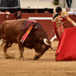 Vic-Fesensac (Francia), lunes 21 de mayo de 2018. Toros de Pedraza de Yeltes para Curro Díaz, Daniel Luque y Emilio de Justo