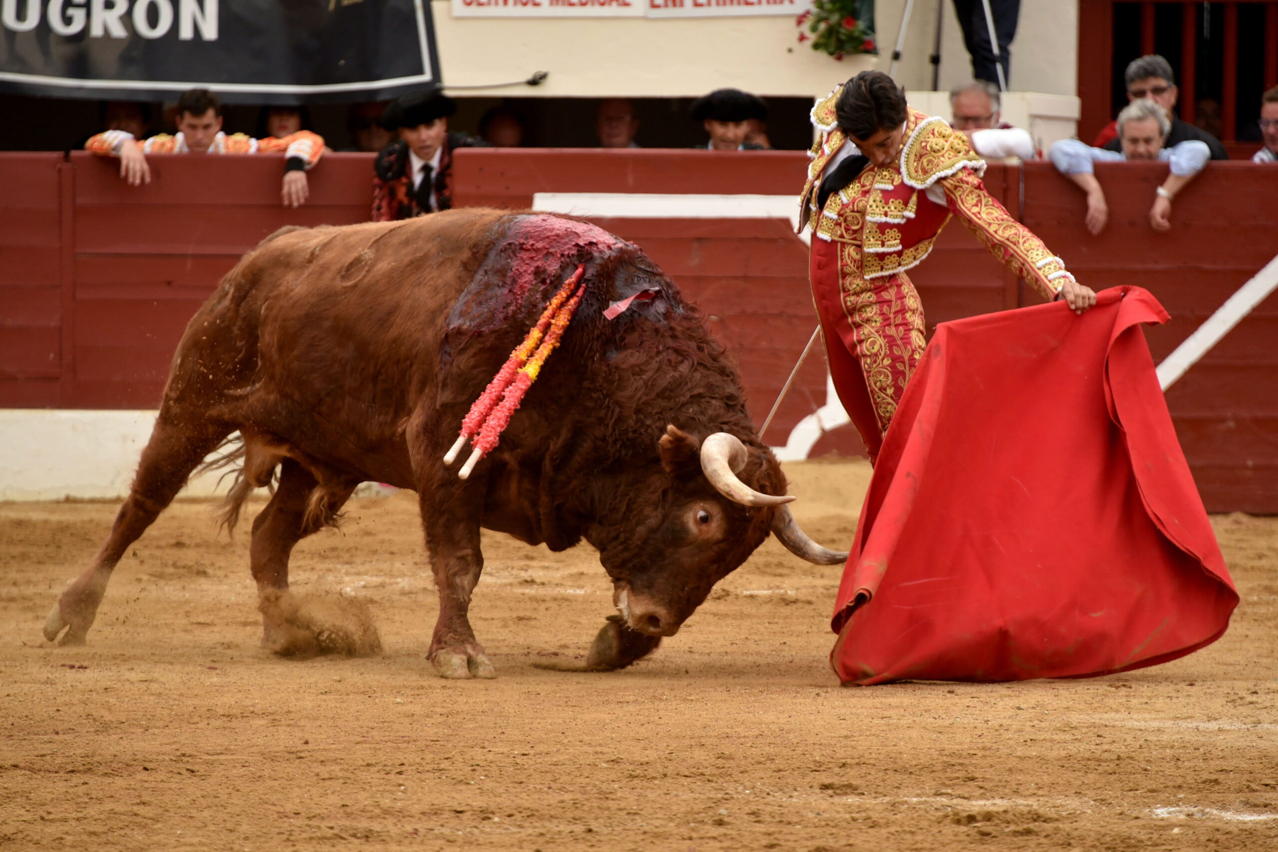 Vic-Fesensac (Francia), lunes 21 de mayo de 2018. Toros de Pedraza de Yeltes para Curro Díaz, Daniel Luque y Emilio de Justo