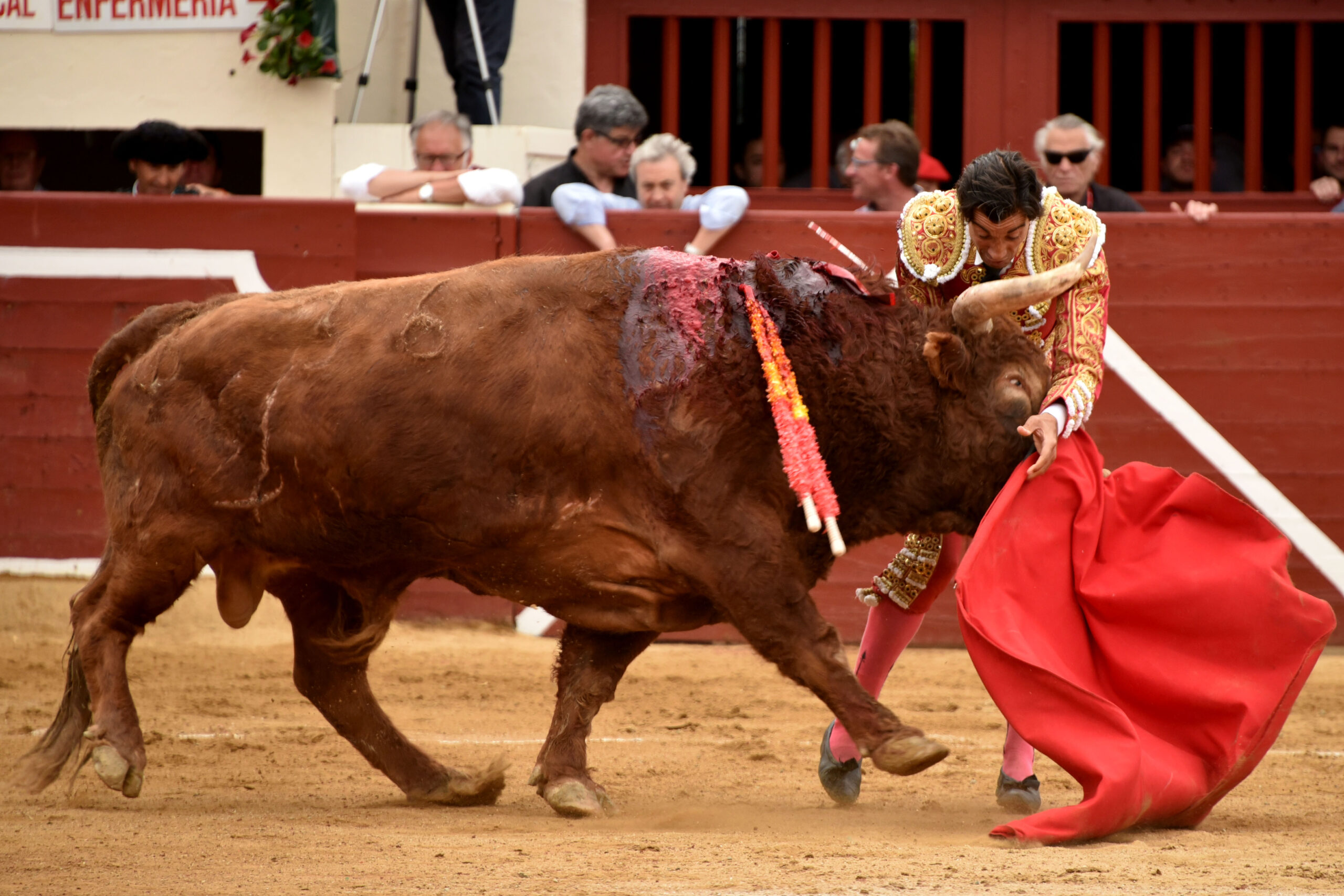 Vic-Fesensac (Francia), lunes 21 de mayo de 2018. Toros de Pedraza de Yeltes para Curro Díaz, Daniel Luque y Emilio de Justo