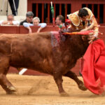 Vic-Fesensac (Francia), lunes 21 de mayo de 2018. Toros de Pedraza de Yeltes para Curro Díaz, Daniel Luque y Emilio de Justo