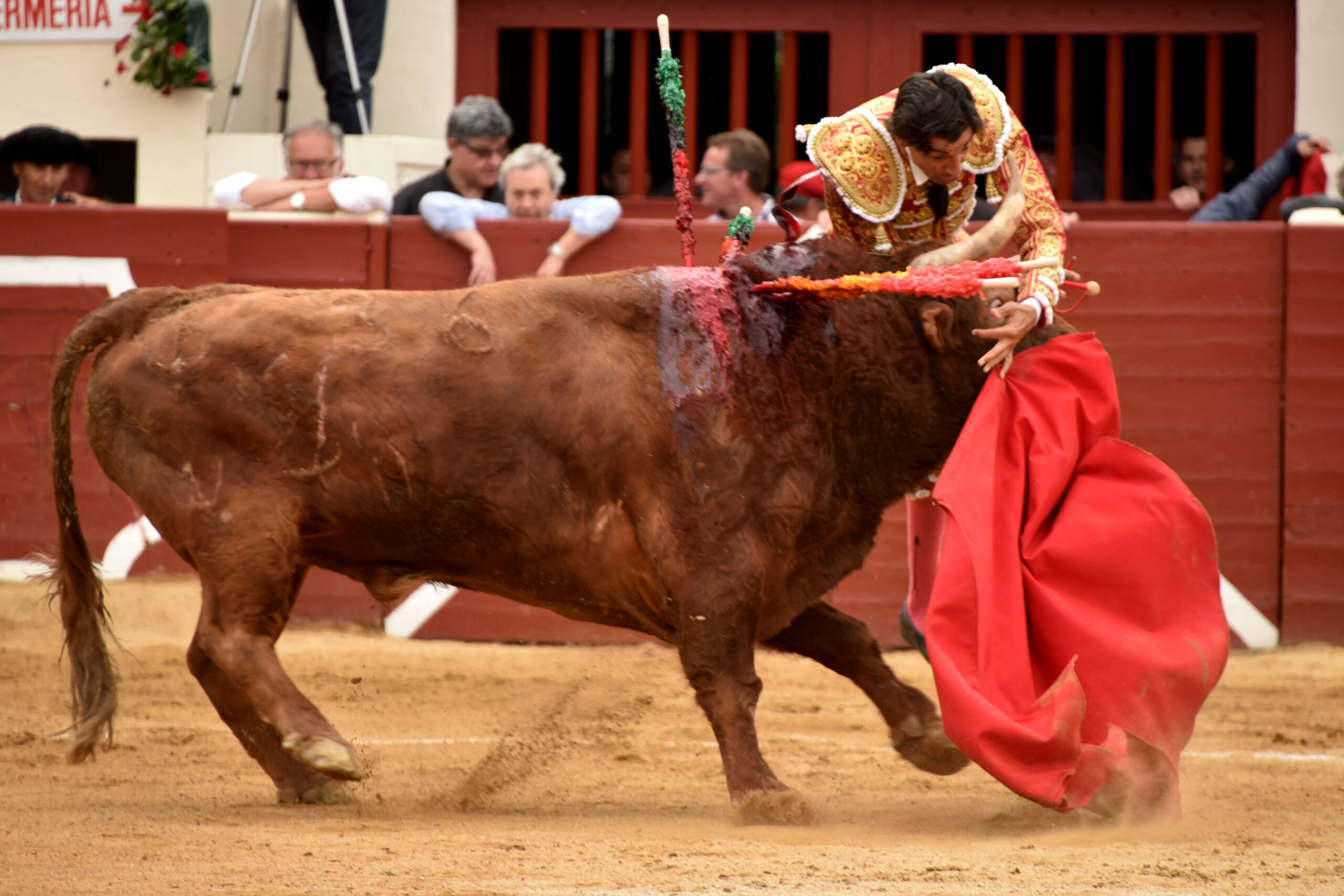 Vic-Fesensac (Francia), lunes 21 de mayo de 2018. Toros de Pedraza de Yeltes para Curro Díaz, Daniel Luque y Emilio de Justo