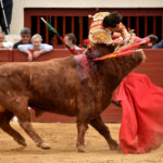Vic-Fesensac (Francia), lunes 21 de mayo de 2018. Toros de Pedraza de Yeltes para Curro Díaz, Daniel Luque y Emilio de Justo