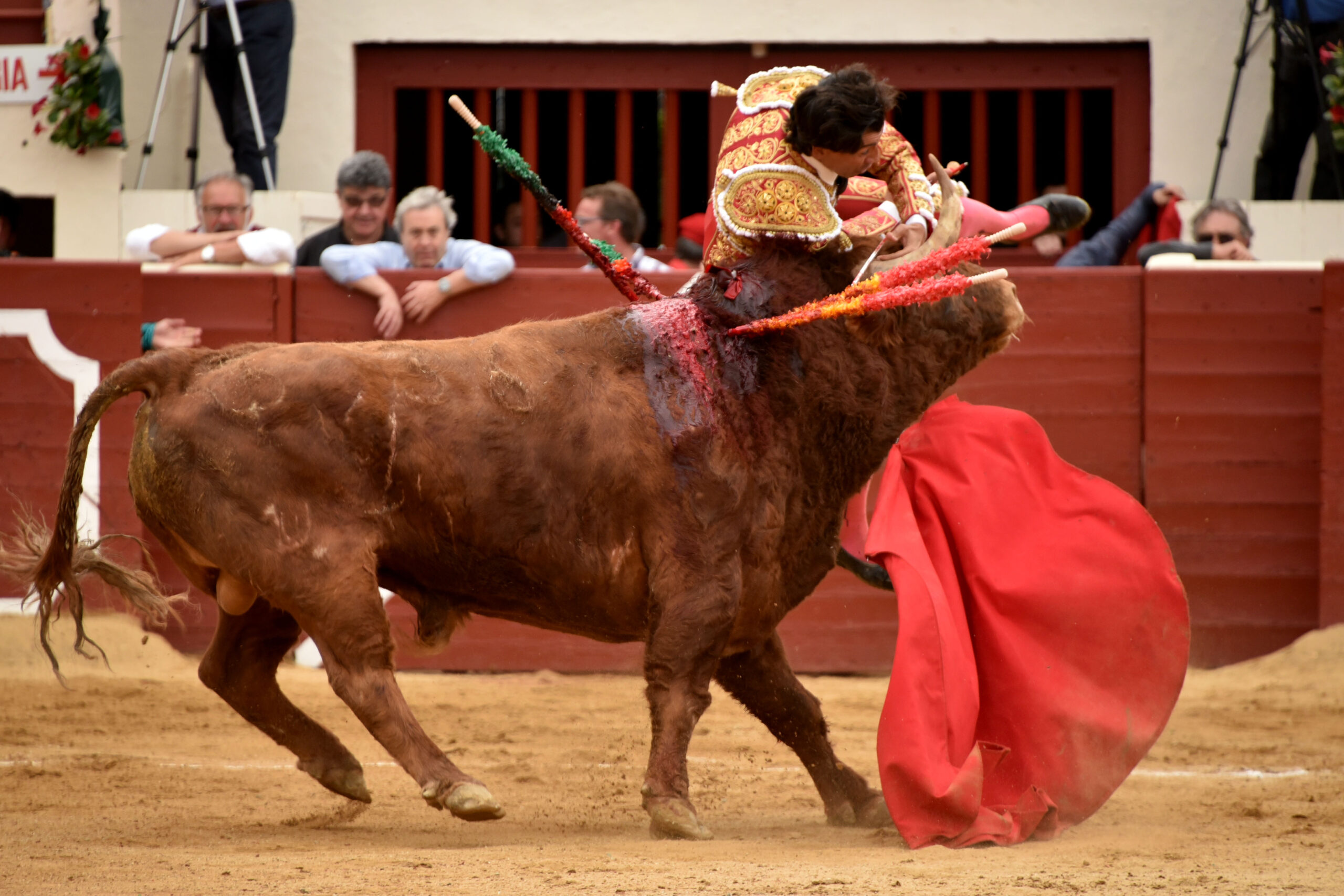 Vic-Fesensac (Francia), lunes 21 de mayo de 2018. Toros de Pedraza de Yeltes para Curro Díaz, Daniel Luque y Emilio de Justo