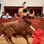 Vic-Fesensac (Francia), lunes 21 de mayo de 2018. Toros de Pedraza de Yeltes para Curro Díaz, Daniel Luque y Emilio de Justo