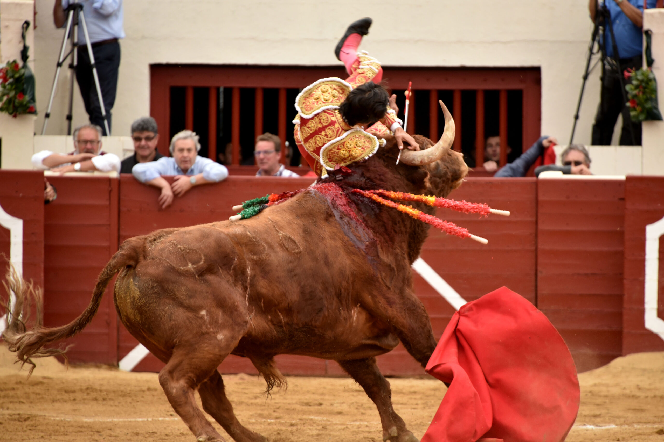 Vic-Fesensac (Francia), lunes 21 de mayo de 2018. Toros de Pedraza de Yeltes para Curro Díaz, Daniel Luque y Emilio de Justo