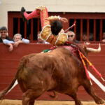 Vic-Fesensac (Francia), lunes 21 de mayo de 2018. Toros de Pedraza de Yeltes para Curro Díaz, Daniel Luque y Emilio de Justo
