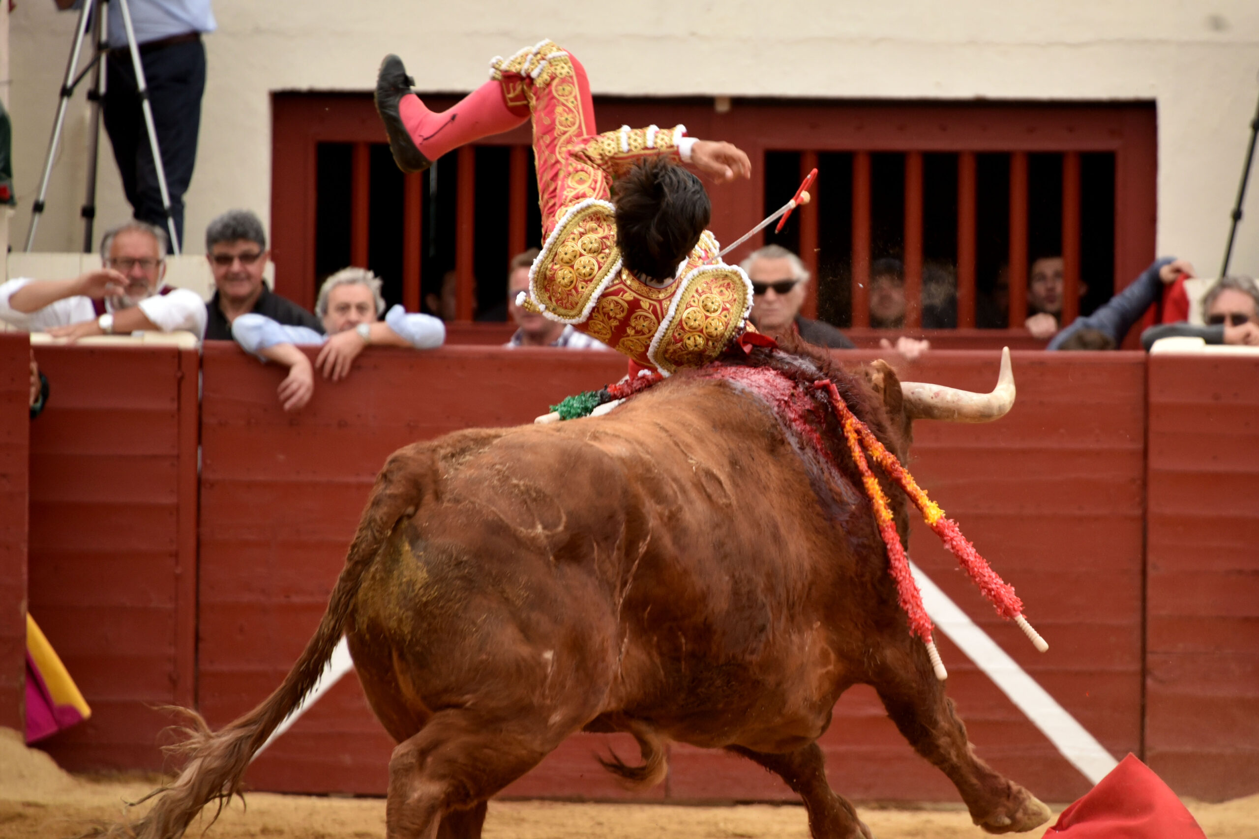 Vic-Fesensac (Francia), lunes 21 de mayo de 2018. Toros de Pedraza de Yeltes para Curro Díaz, Daniel Luque y Emilio de Justo