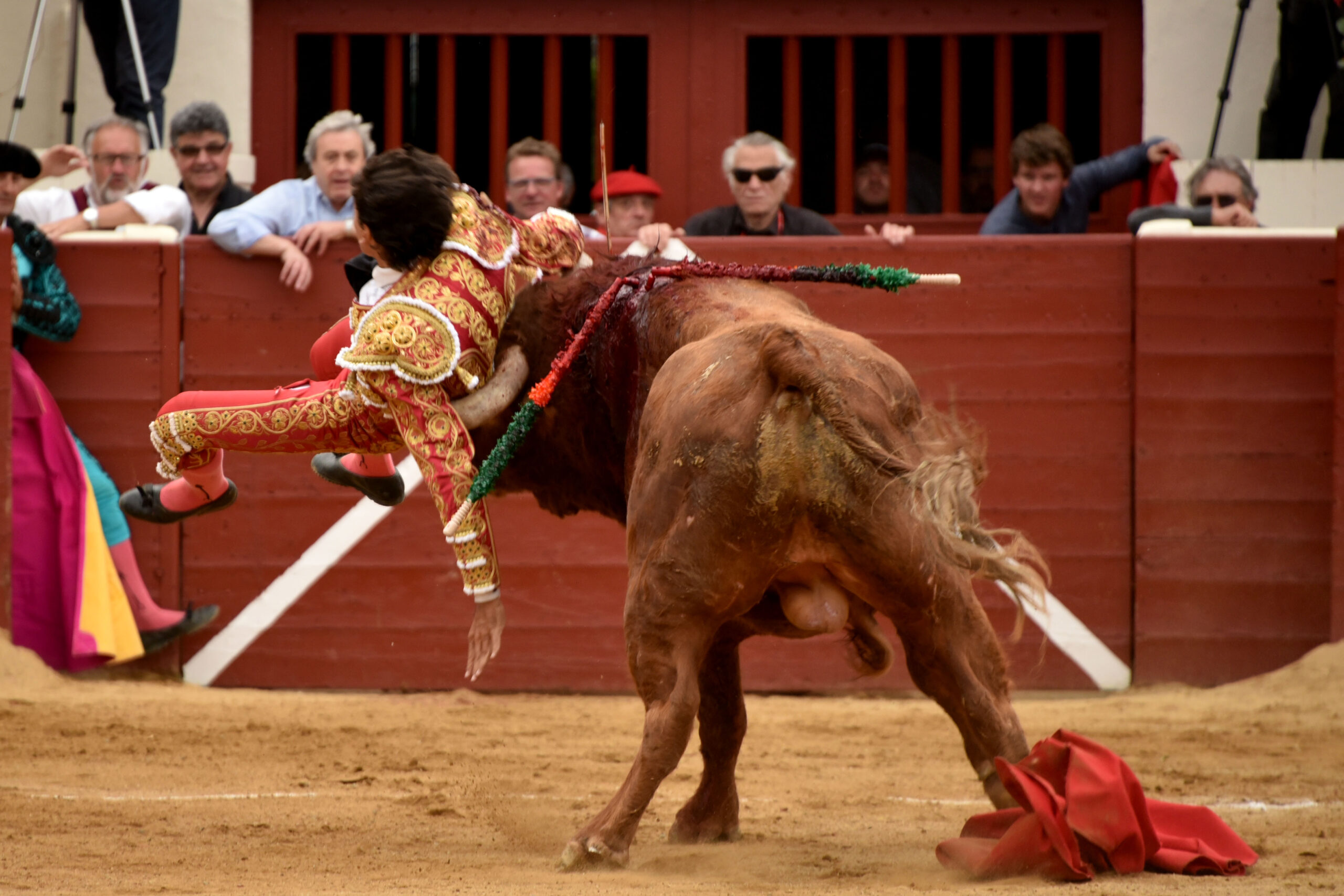 Vic-Fesensac (Francia), lunes 21 de mayo de 2018. Toros de Pedraza de Yeltes para Curro Díaz, Daniel Luque y Emilio de Justo
